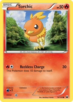 Torchic (14) card art