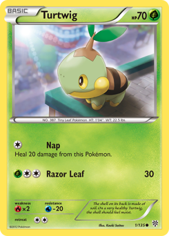 Turtwig — Plasma Storm