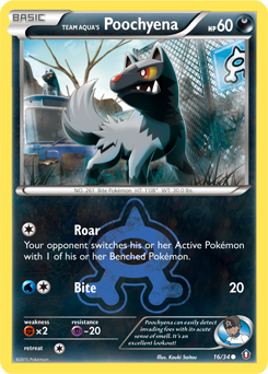 Team Aqua's Poochyena card art