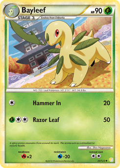 Bayleef card art