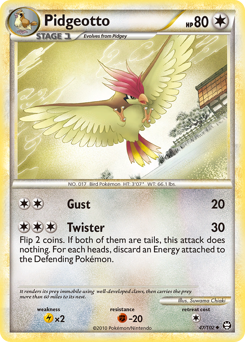 Pidgeotto — Triumphant