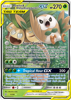Rowlet & Alolan Exeggutor GX card art