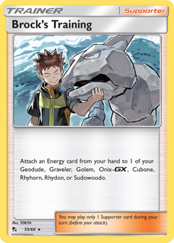 Brock's Training — Hidden Fates