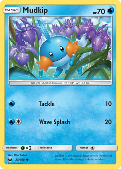 Mudkip (33) card art