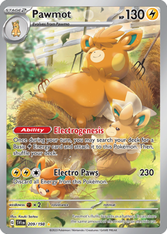 Pawmot - 209/198 card art