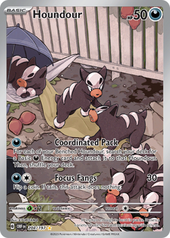 Houndour - 204/197 card art