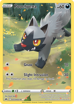Poochyena — SWSH: Crown Zenith: Galarian Gallery