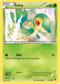 Snivy — XY - Fates Collide