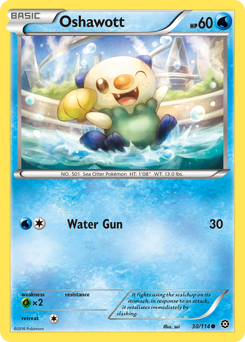 Oshawott — XY - Steam Siege