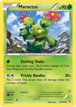 Maractus — XY - Flashfire