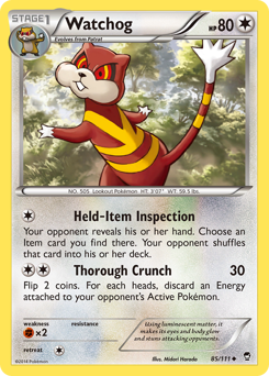 Watchog — XY - Furious Fists