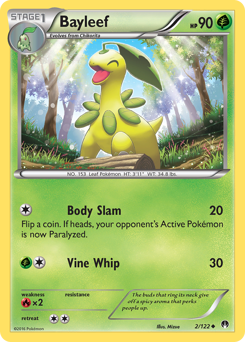 Bayleef — XY - BREAKpoint