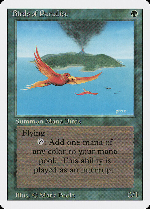 Birds of Paradise card art