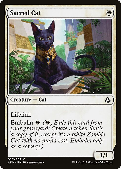 Sacred Cat card art