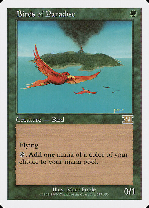 Birds of Paradise card art