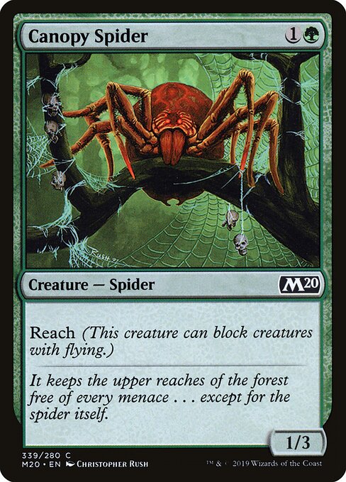 Canopy Spider card art