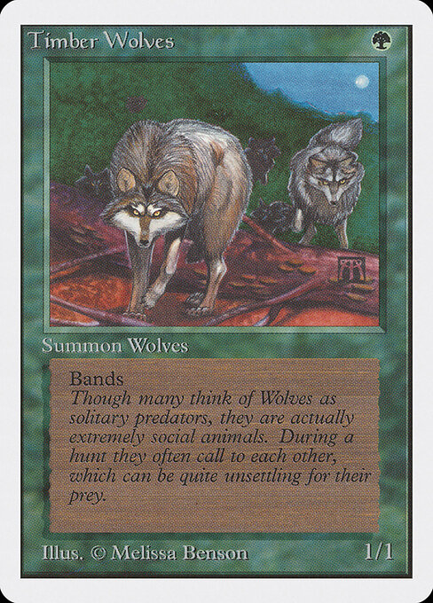 Timber Wolves card art