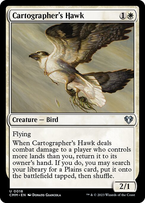 Cartographer's Hawk card art