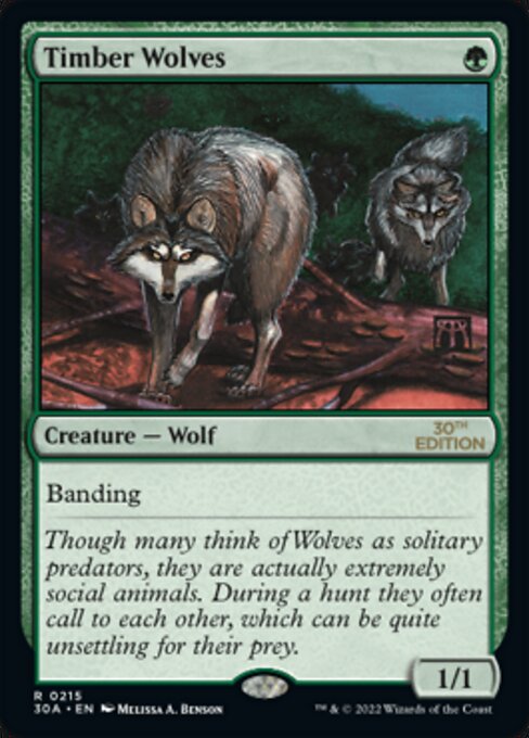 Timber Wolves card art