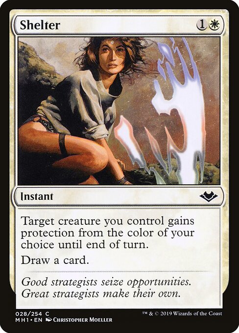 Shelter card art