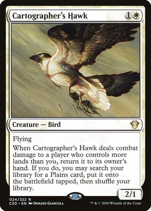 Cartographer's Hawk card art