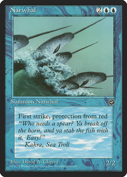 Narwhal card art