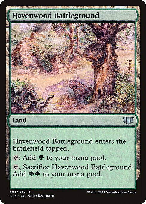 Havenwood Battleground card art