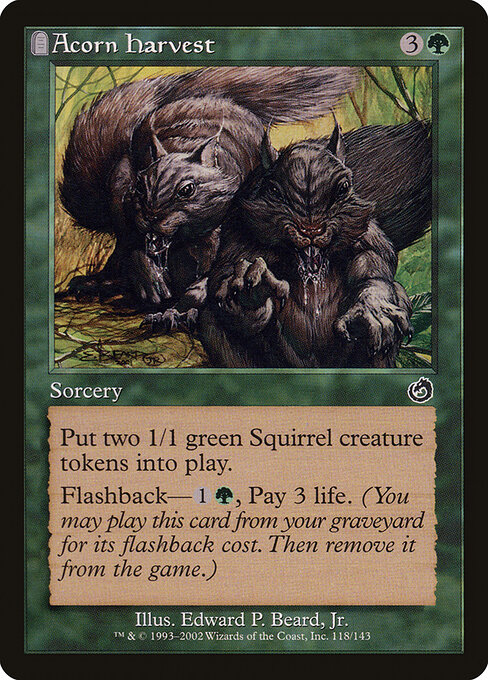 Acorn Harvest card art