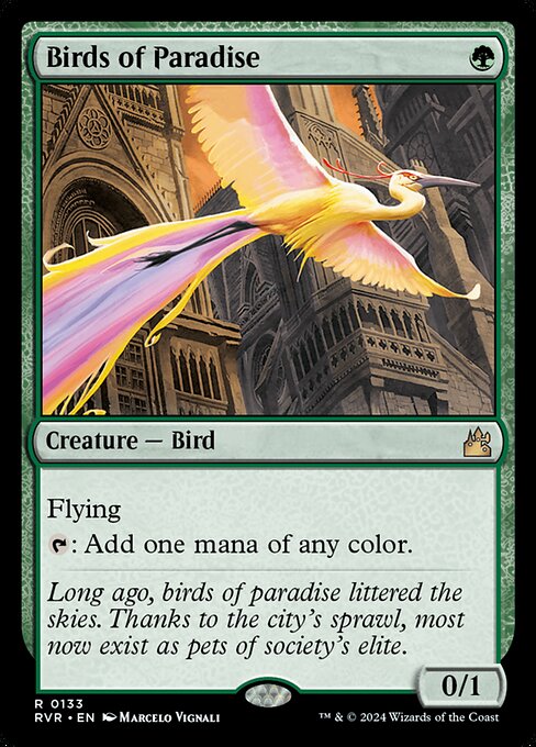 Birds of Paradise card art