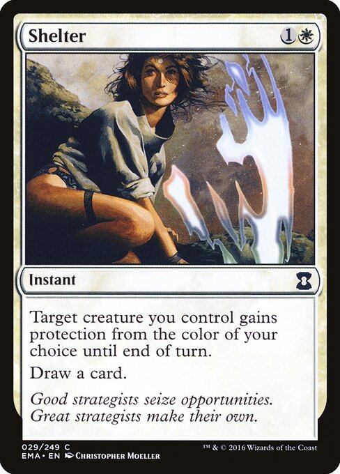Shelter card art
