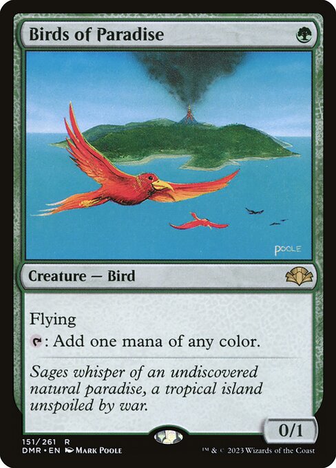 Birds of Paradise card art