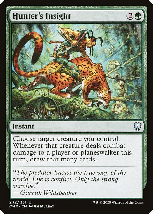 Hunter's Insight card art
