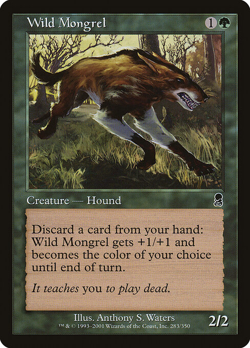 Wild Mongrel card art