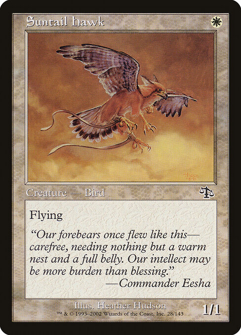 Suntail Hawk card art