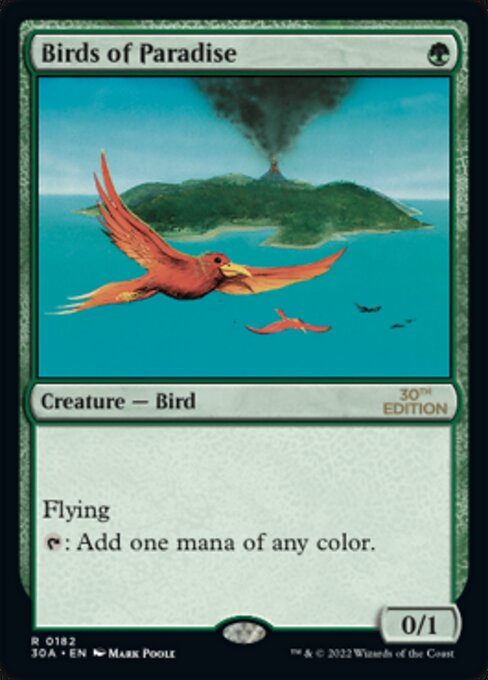 Birds of Paradise card art