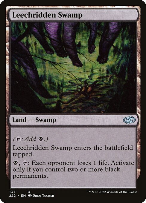Leechridden Swamp card art