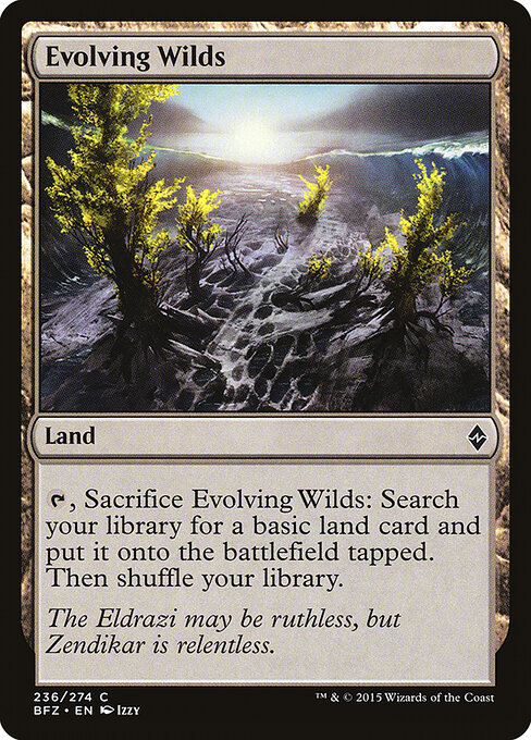 Evolving Wilds card art