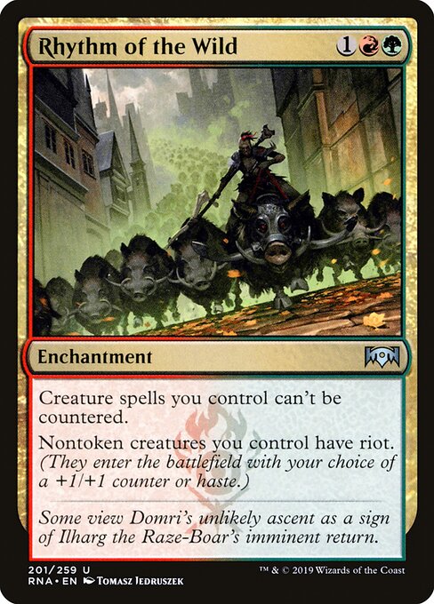 Rhythm of the Wild card art