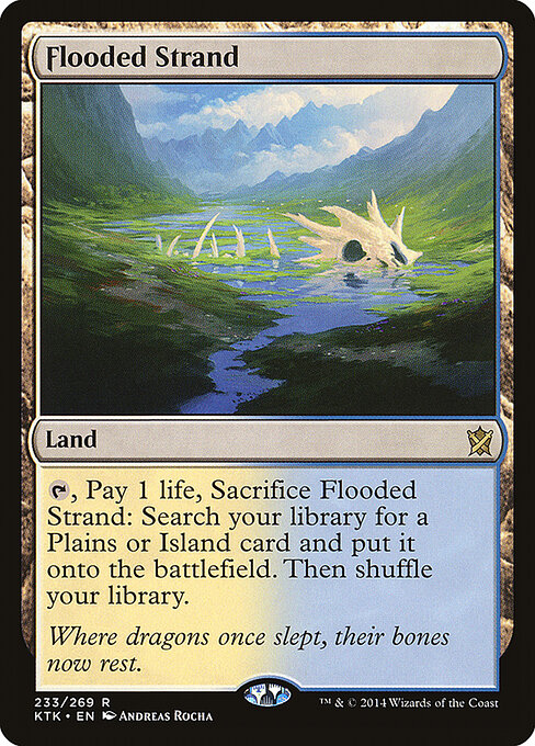 Flooded Strand card art