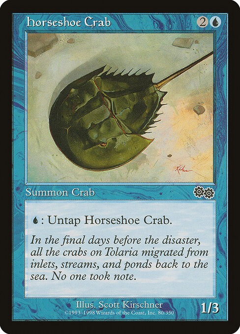 Horseshoe Crab card art