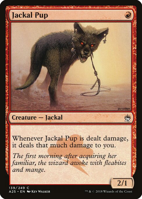 Jackal Pup card art