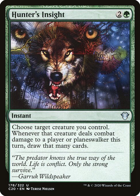Hunter's Insight card art