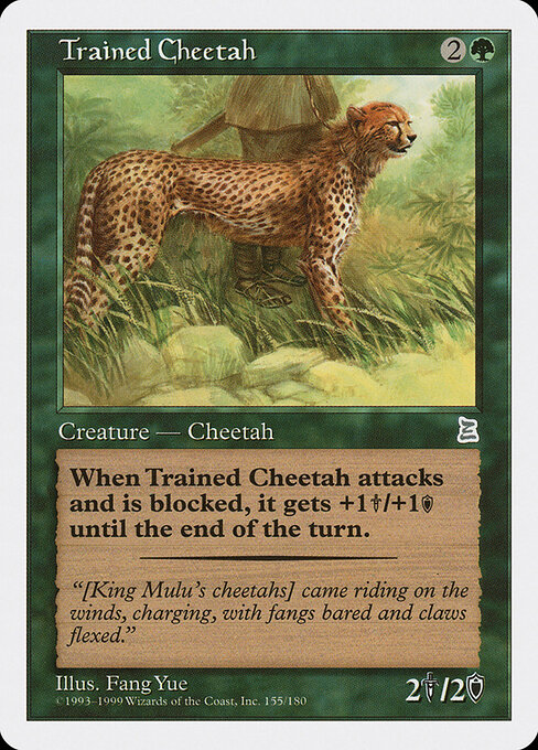 Trained Cheetah card art