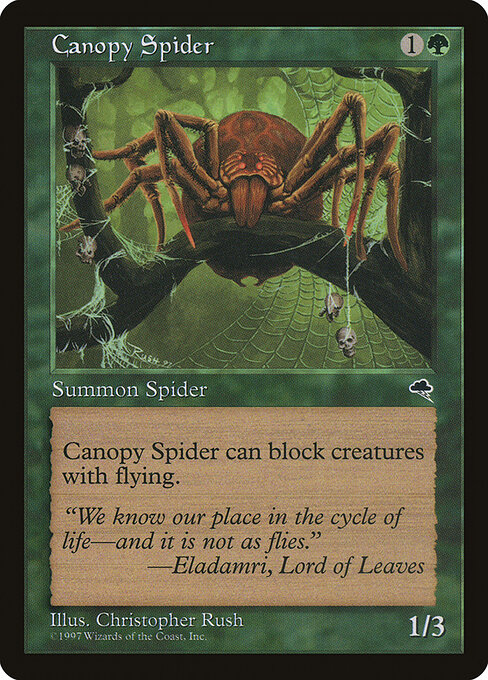 Canopy Spider card art