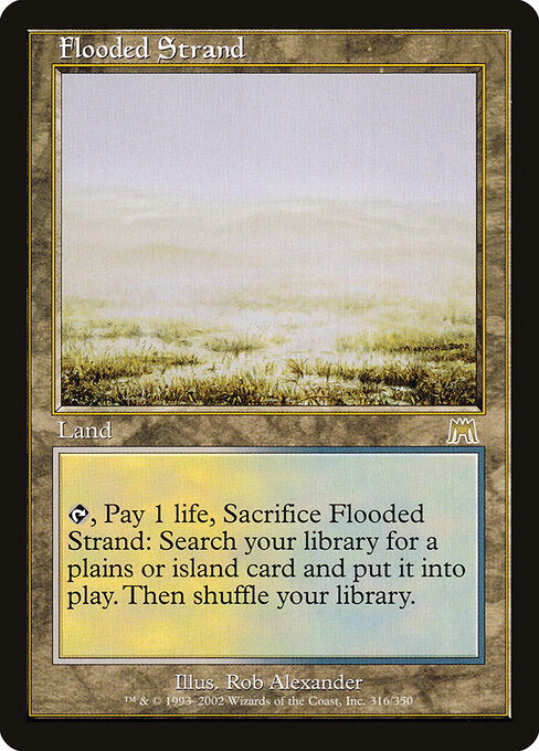 Flooded Strand card art