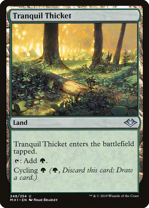 Tranquil Thicket card art