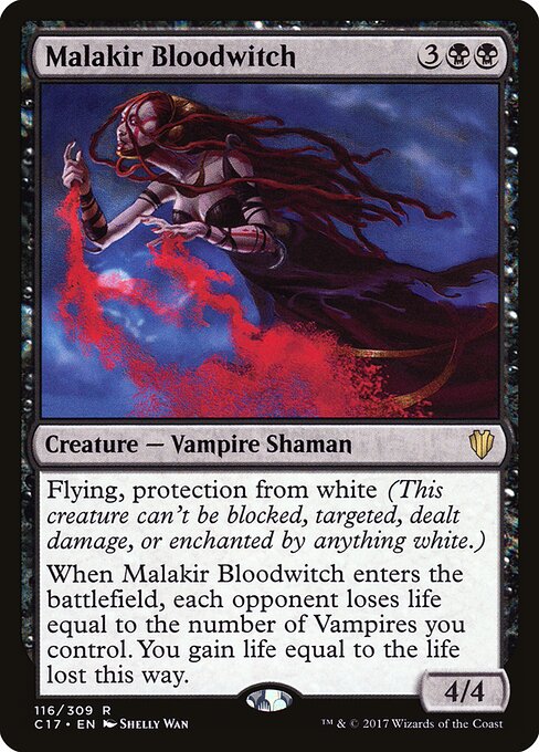 Malakir Bloodwitch card art