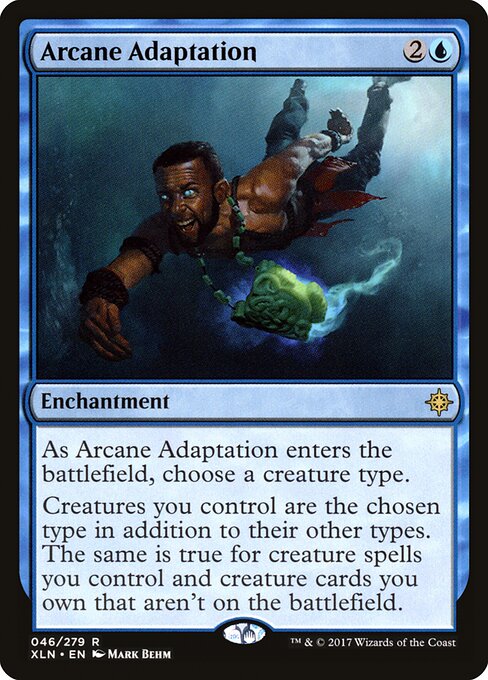 Arcane Adaptation card art