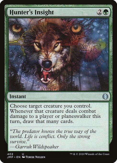 Hunter's Insight card art