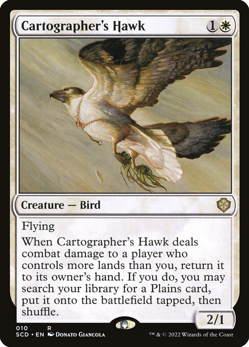 Cartographer's Hawk card art
